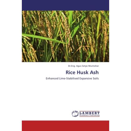 Rice Husk Ash, Fachbücher