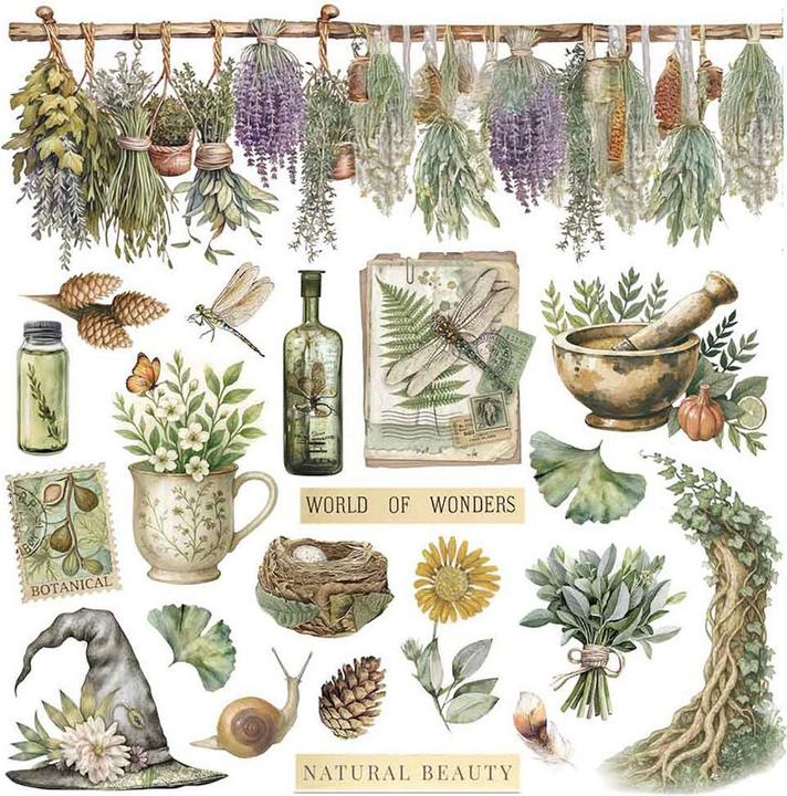 Produktbild Stamperia Rub On Sortiment "Herbarium Silvae" (15.60 x 15.60 cm)