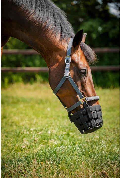 Produktbild Horse Guard Pferdeweide Maulkorb mit Halfter