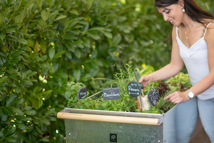 Image du produit Herstera Pivoter