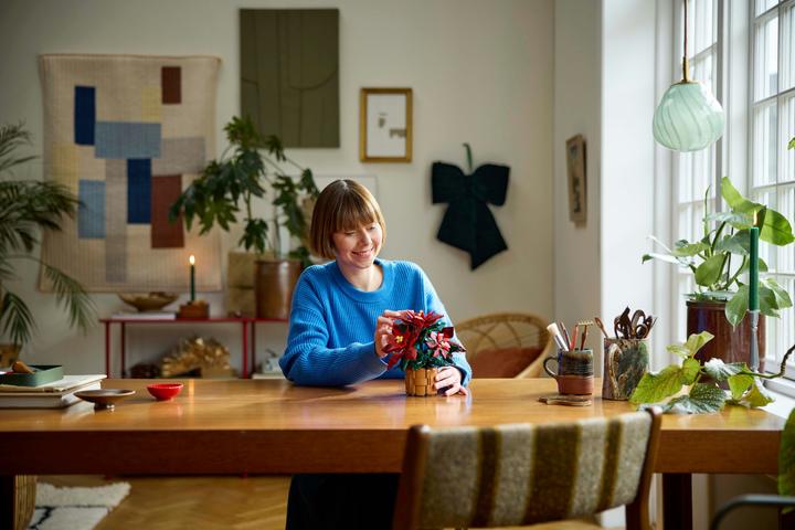Immagine prodotto LEGO Stella di Natale (10370, LEGO Icons)
