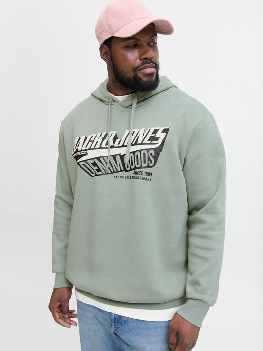 Immagine prodotto Jack & Jones JJELOGO SWEAT HOOD 2 COL 24/25 NOOS PLS (4XL)