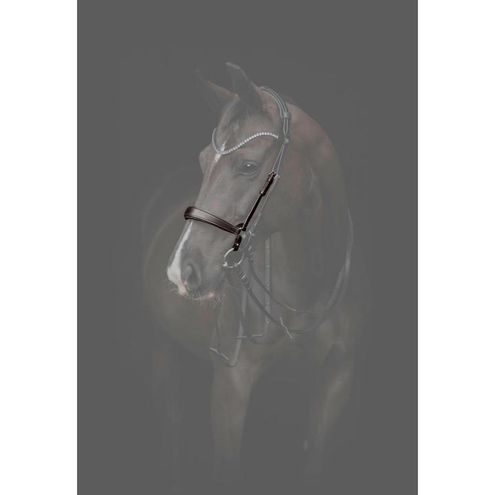 Produktbild Catago Gentle