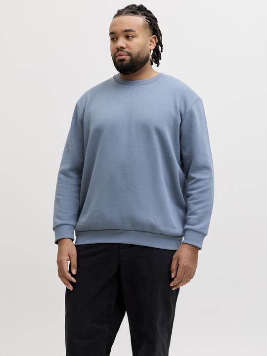 Produktbild Jack & Jones Jjebradley Sweat Crew Noos Pls