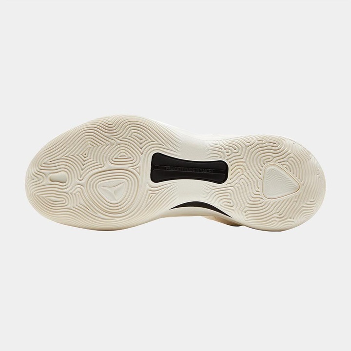 Actual product image Peak Ice Works handball shoes taichi big triangle 3 (40)