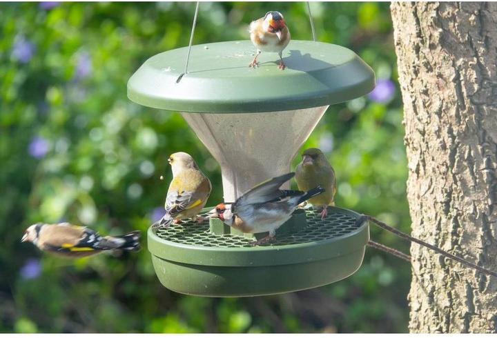 Productafbeelding Swissinno Vogel-Futtersilo "Davos" SMART BIRDS. Grün