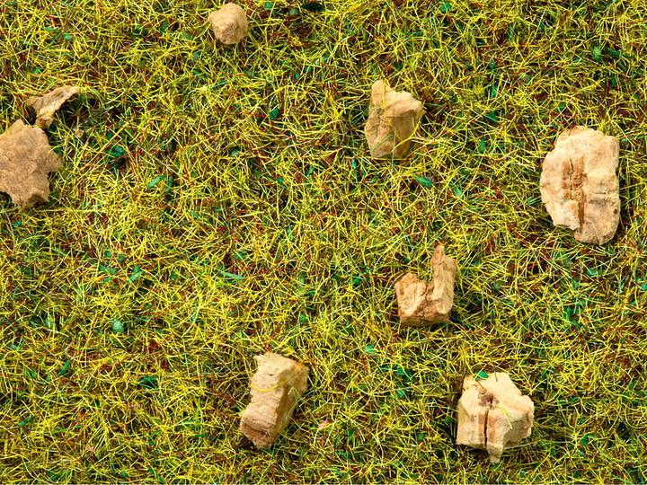 Immagine prodotto Noch Prato di montagna pietroso 8