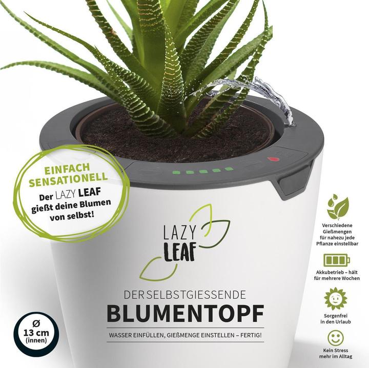 Produktbild Die Höhle der Löwen LazyLeaf