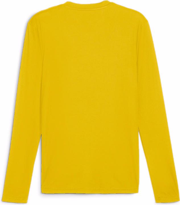 Actual product image Puma teamGOAL Baselayer Tee LS (L)