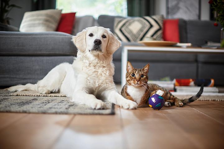 Actual product image Philips FC9745/09 PowerPro Expert