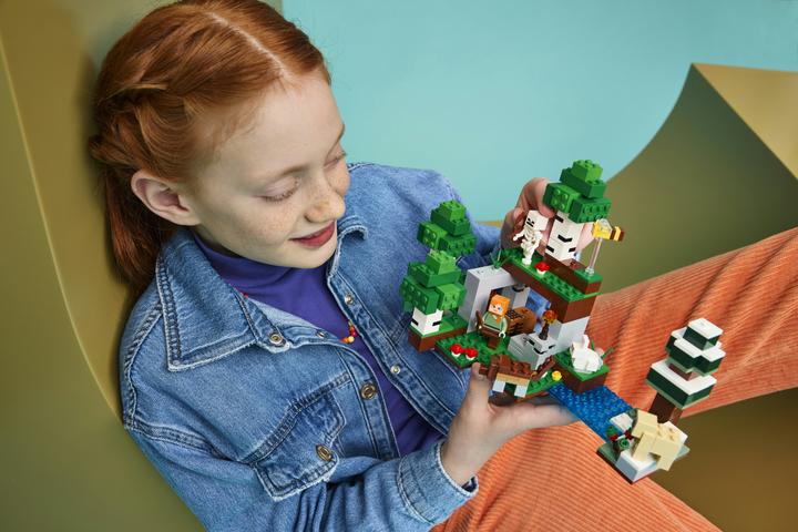 Produktbild LEGO Erstes Abenteuer in der Nacht (21593, LEGO Minecraft)