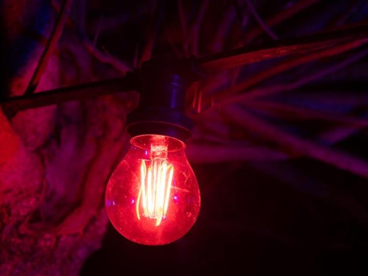 Image du produit X-mas & Gadget light - ropelight GUIRLANDE DE FÊTE À LED - 20 x DOUILLE E27 - SANS AMPOULES - 10 m (10 m)