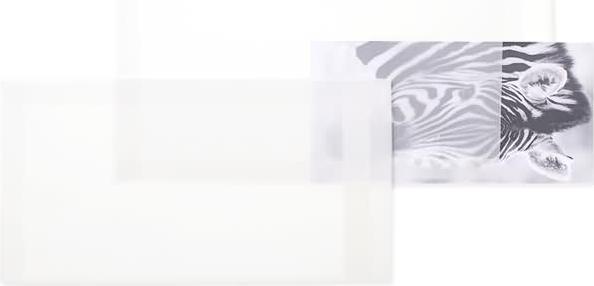 Blanke Versandtaschen 156x300mm 110g/qm haftklebend VE=100 Stück transparent-weiss (100 x)