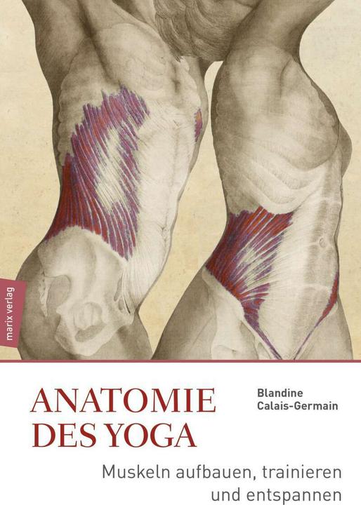 Produktbild Anatomie des Yoga (Deutsch, Blandine Calais-Germain, 2018)