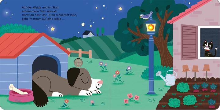 Produktbild Mein blinkendes Soundbuch – Gute Nacht, Bauernhof! (Deutsch)