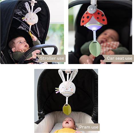 Actual product image Taf Toys Lapin
