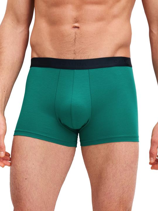 Actual product image Calida Cotton Special Boxershorts (M, pack of 3)