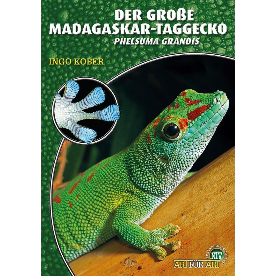Der Grosse Madagaskar-Taggecko, Sachbücher von Ingo Kober