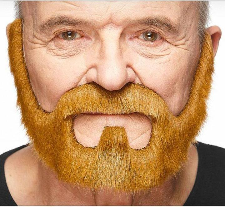 Produktbild Metamorph Klassischer Vollbart