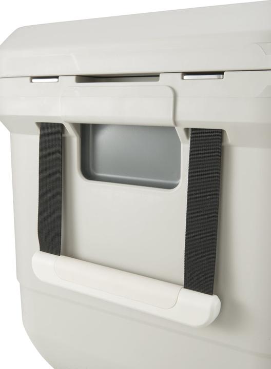 Actual product image Coleman Pro 45qt cool box (43 l)