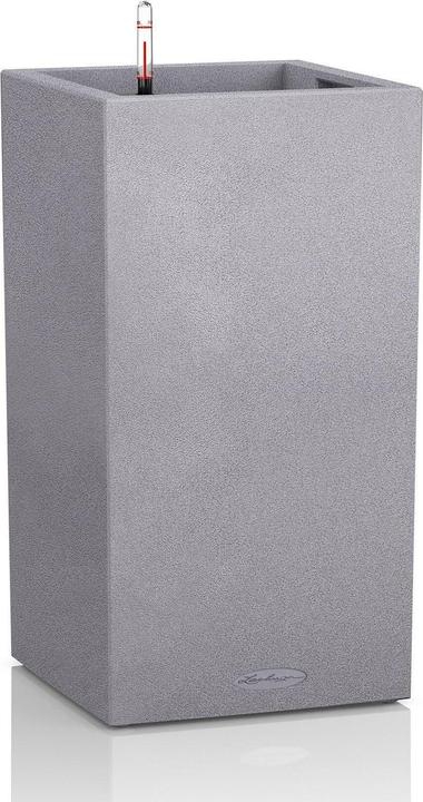 Lechuza Colonne Canto Color (30 x 30 x 56 cm)