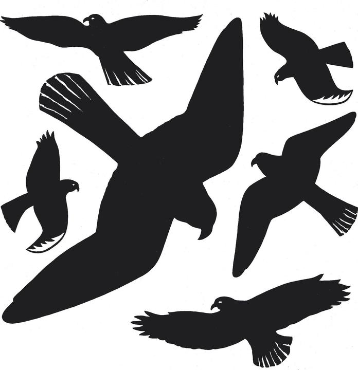 HERMA Warnvögel Aufkleber