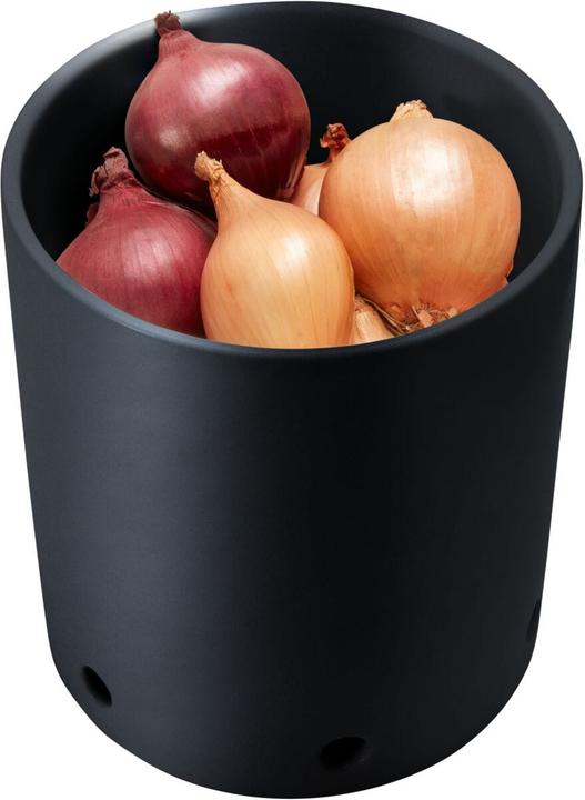 Actual product image micasa Nevia Nevia