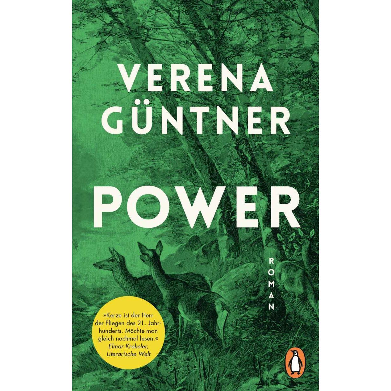 Power, Belletristik von Verena Güntner