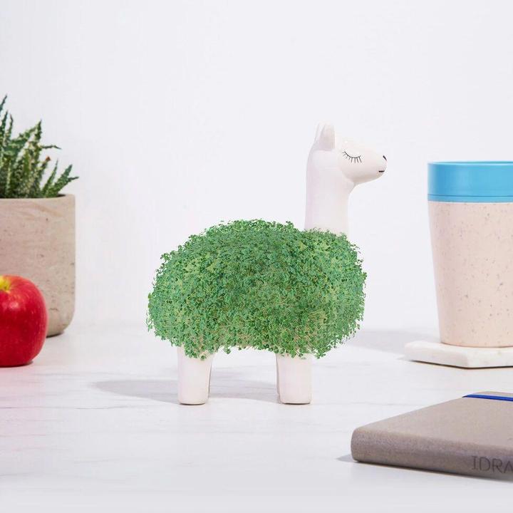 Actual product image Gift Republic Chia Plant Llama