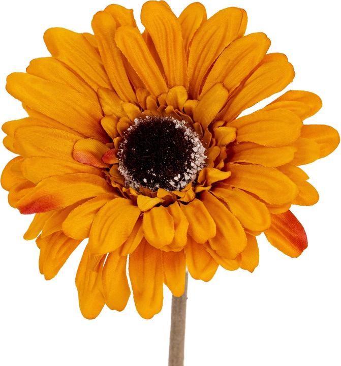 Immagine prodotto Hill Interiors Soffice Gerbera Gerbera Fiore Artificiale (53 cm)