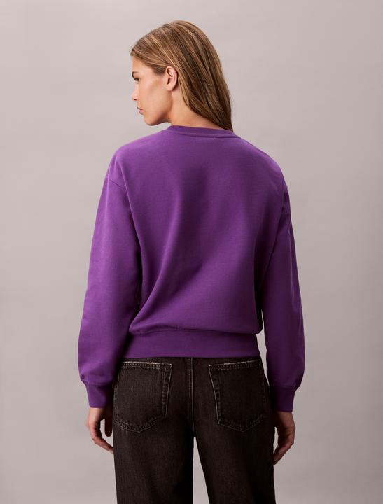 Produktbild Calvin Klein Jeans Ls Archive Logo French Terry Rlx (M)
