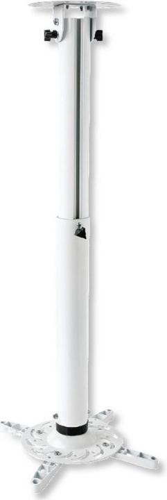 Techly Deckenhalterung ICA-PM-104MW (Decke)