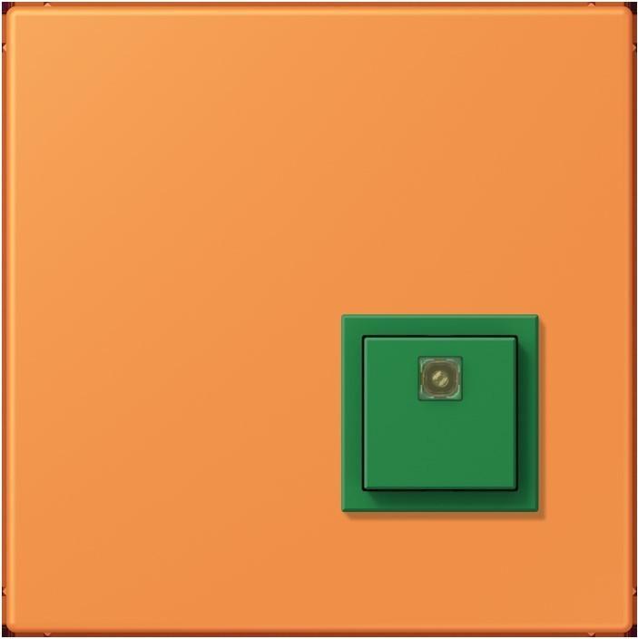 Actual product image JUNG Switch-off button