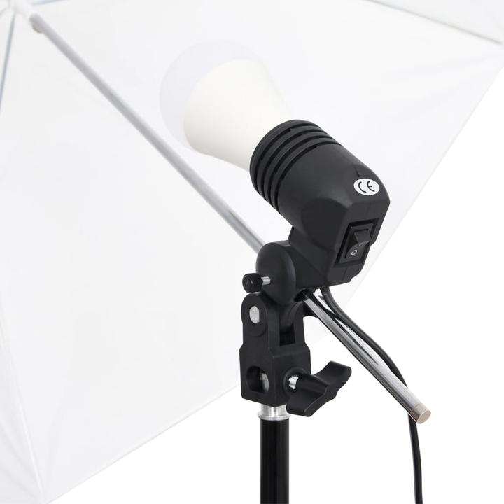Produktbild vidaXL Fotostudio-Kit (300 cm, 210 cm)