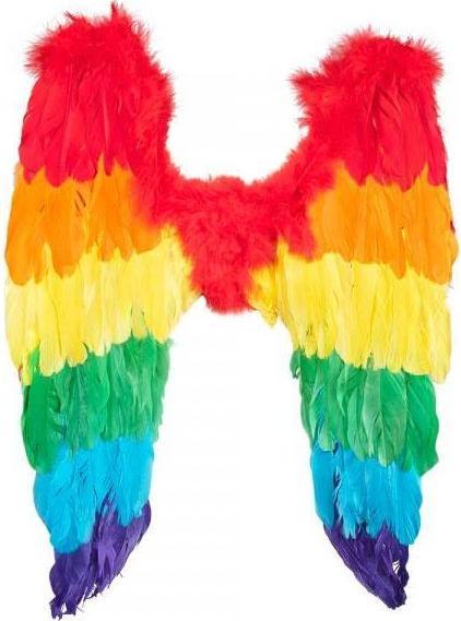Actual product image Fasnacht Angel wings rainbow