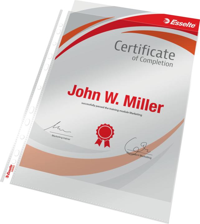 Actual product image Leitz Esselte Premium brochure cover, A4, PP, crystal clear, 0.10 mm open top, document-proof, Euro (A4, 1 x)