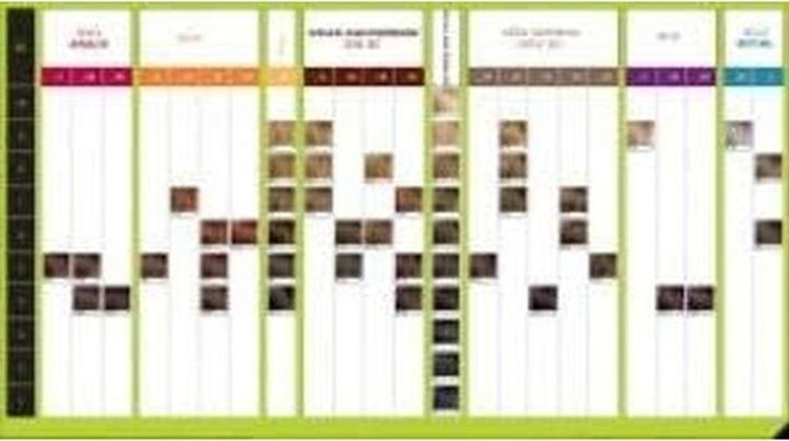 Image du produit L'Oréal Professionnel Inoa (Marron)