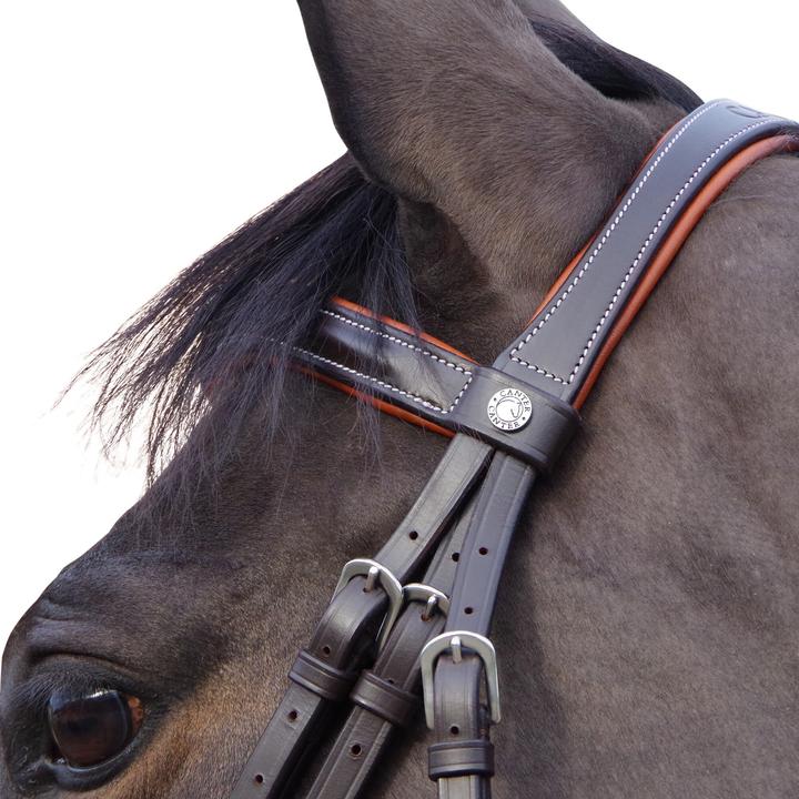 Image du produit Canter Alme