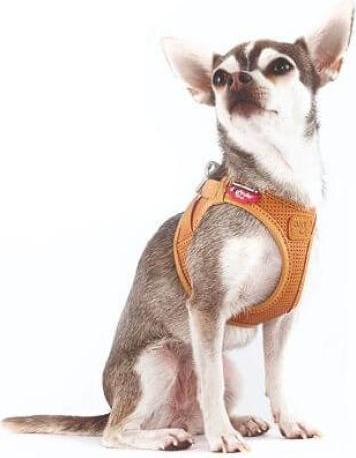 Produktbild Curli Geschirr Apfelleder, 2XS, Schwarz (XXS, Hund, Allgemein)