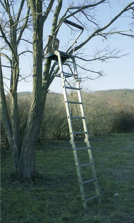 Produktbild Berger & Schröter ansitzleiterklappbar