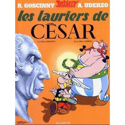 Une aventure d'Astérix, Belletristik von René Goscinny, Albert Uderzo