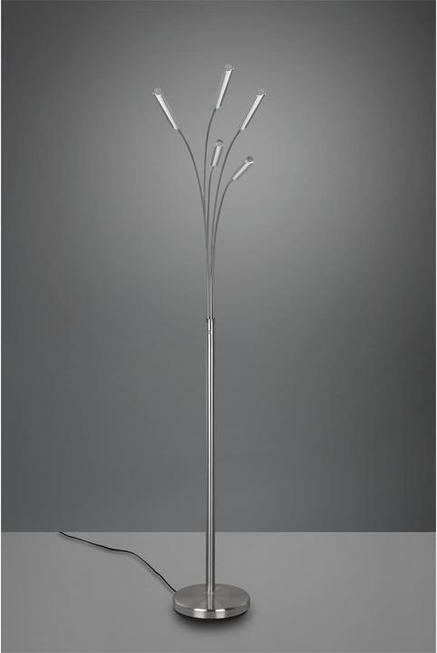 Actual product image Trio LED floor lamp REED 5xR410315073.5W 5x 350lm 3000K D.30xH (1750 lm)