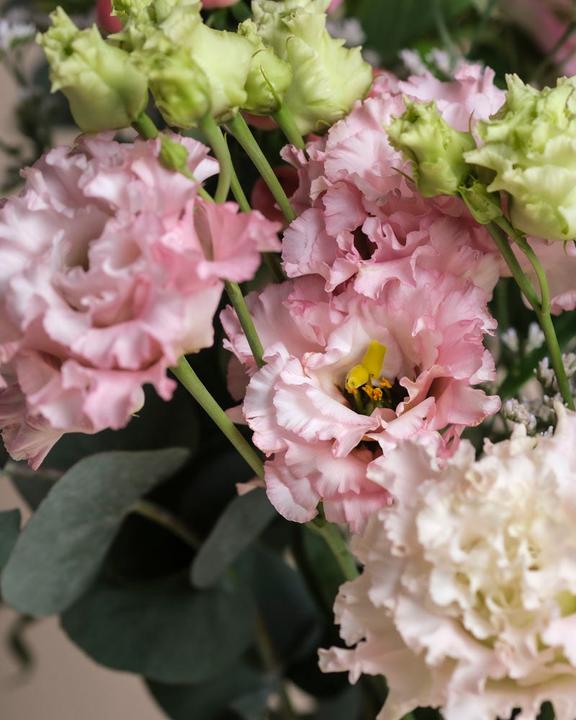 Image du produit feey Ballerine Avec Vase (Rose) (Fleurs coupées, 13x)