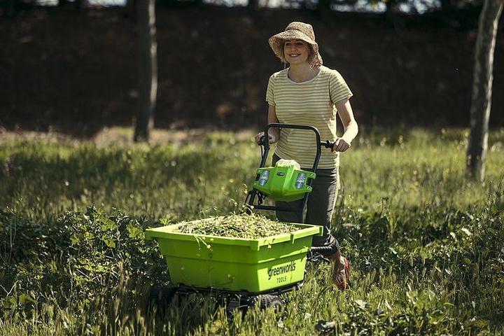 Produktbild Greenworks Briana
