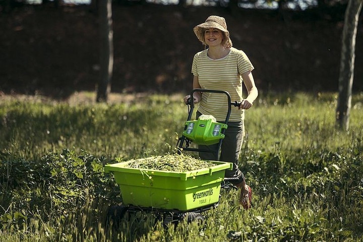 Produktbild Greenworks Briana