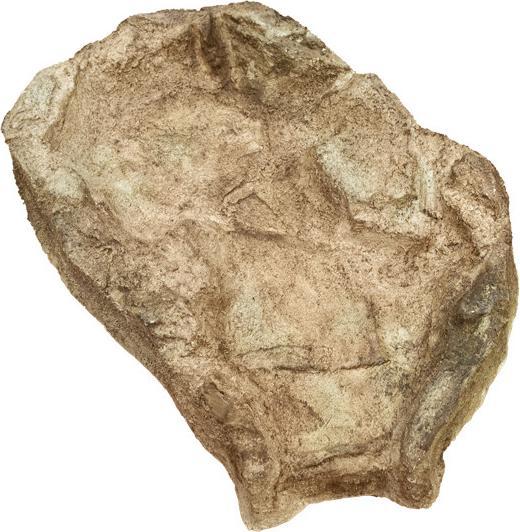 Actual product image Koi-Breeder Watercourse bowl curve left made of GRP