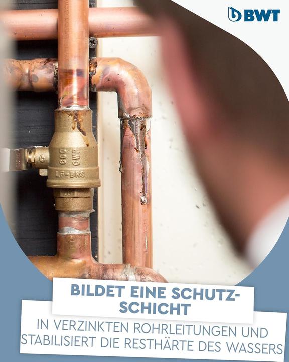 Actual product image BWT Dosing agent for drinking water Quantophos, Impulsan F2/FE, H2/HE