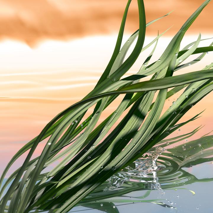 Produktbild Estée Lauder Luxury Fragrance Blushing Sands (Eau de Parfum, 100 ml)