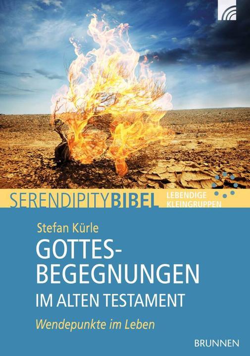 Produktbild Brunnen Gottesbegegnungen im Alten Testament (Deutsch, Stefan Kürle, 2014)