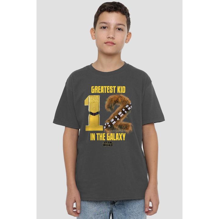 Actual product image Star Wars Childrens/Kids Greatest Kid C3PO R2-D2 T-Shirt (152, 158)